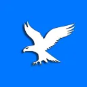 Hawk image