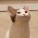𝓝𝓸𝓫.𝓣𝓱𝔁𝓫𝓲𝓻𝓭𝓶𝓪𝓷