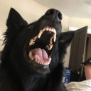akitil