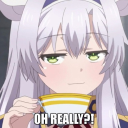 Discord Bots  Discord Bot List