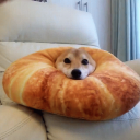 croissantluv