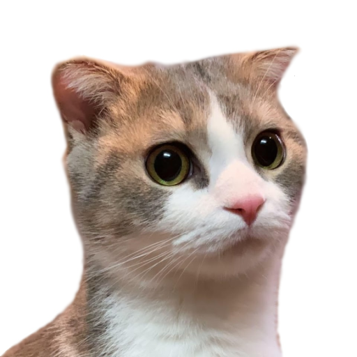 Leoo