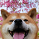 Shibesbot's avatar