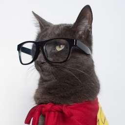 Kittysolo