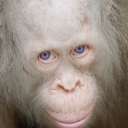 8k здорово suc