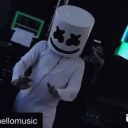thepirate.