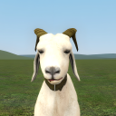 goaty11