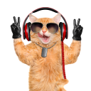 Elf music discord bots