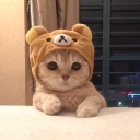 Julisalewis_
