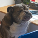 jerrygarryterrylarry