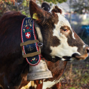 moo014797