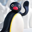 Pingu | Discord Bots | Discords.com