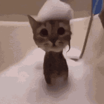 minifloat