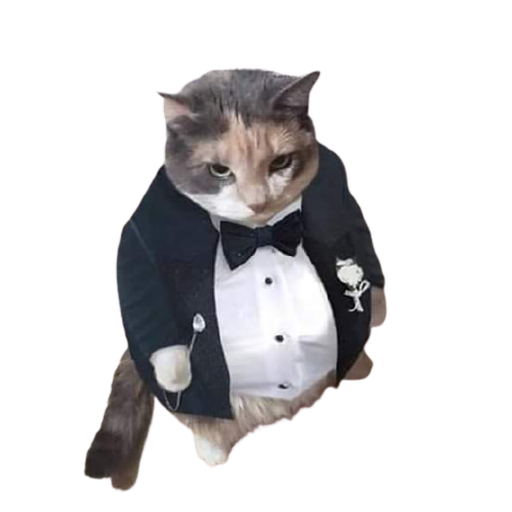 Avatar for Botinamus (beta)