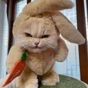 Коля Редан