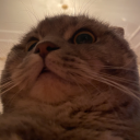 Felixxy's avatar