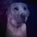 Vroooomtex's avatar