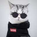 Müzik Botu's avatar