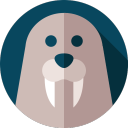 Walrus's avatar