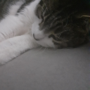 𝗧𝗩 𝗗𝗼𝗰𝘁𝗼𝗿𝗹𝘂𝗖𝗵𝗮𝗿𝘁𝟴𝟮