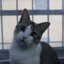 Arto's avatar