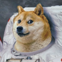bustedcop