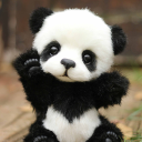 || Panda ||'s avatar