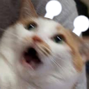 ScaredBOT's avatar