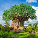 AnimalKingdom's avatar