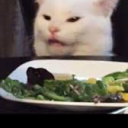 the preety cat 😺