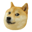 DogeDude