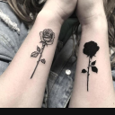 Darkroses