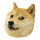 DogeDude