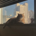 ₊˚₍🔖₎﹕MJ <3.﹕♡˚ ̟﹕