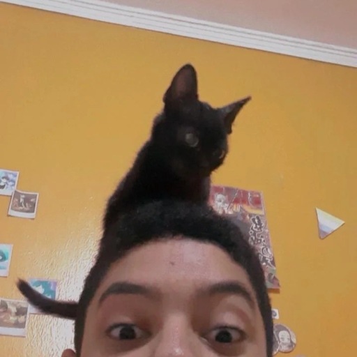 dani(ficada)