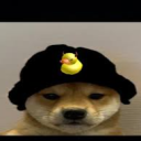 𝔹𝕣𝕒𝕪𝕝𝕖𝕟