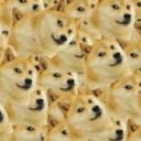 Doge Empire - discord server icon