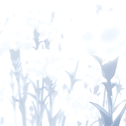 π³π°πΆπ¨π¦ β¦βοΉ - discord server icon