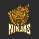 Ninjas - Main - discord server icon