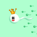 Plan B Survivors - discord server icon