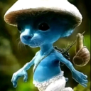 Smurf cat - discord server icon