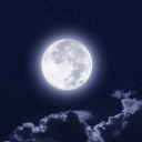 moonfall - discord server icon