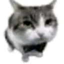 The Groafan Empire - discord server icon