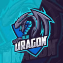 Blue Dragon Esports - discord server icon