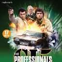 The Professionals Community - discord server icon