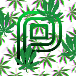 PhoenixSquad - discord server icon