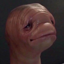 Bingle's Big Silly Society - discord server icon