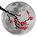 Siera server - discord server icon
