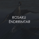 rosaku ëndrrimtar - discord server icon