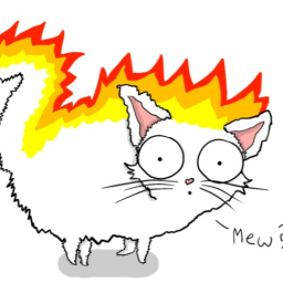 BRB My Cat is on Fire - discord server icon